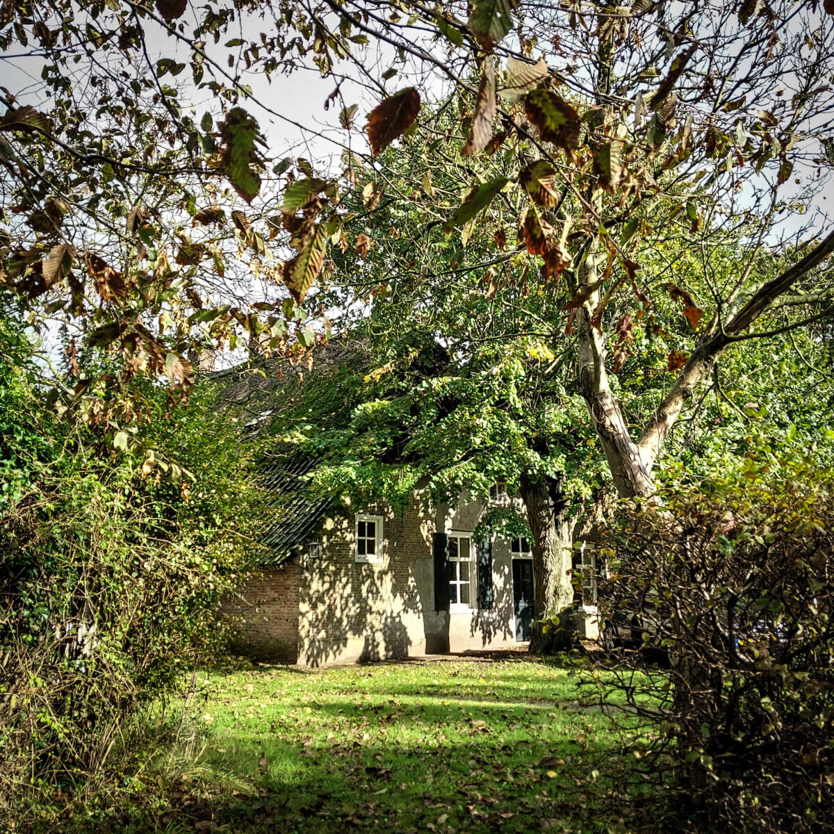 Exterieur Voorhuis in het groen